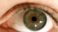 Eye Iris Device